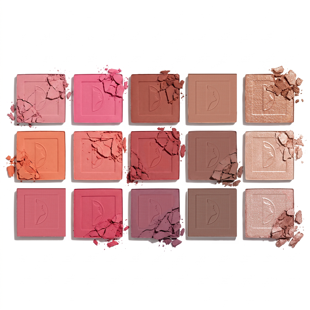 Character Color Theory Face Palette