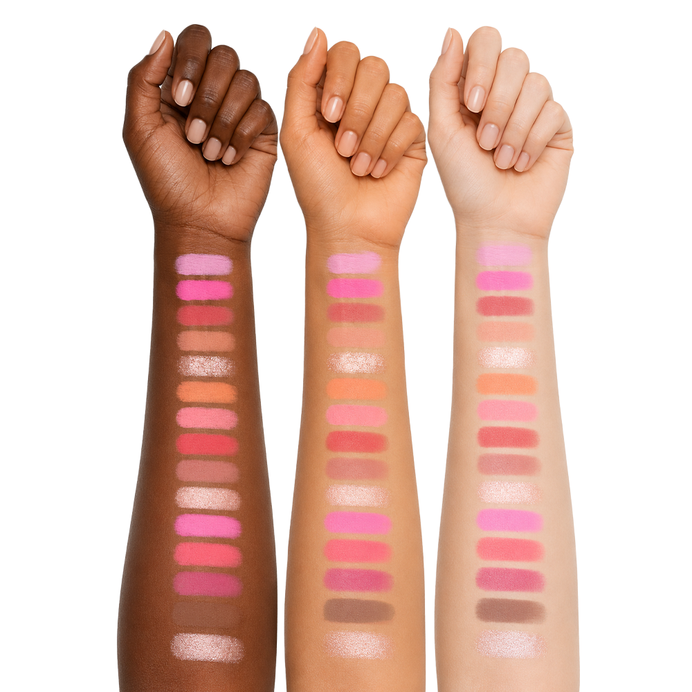 Character Color Theory Face Palette